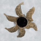 Best Dumplings in Norfolk, VA